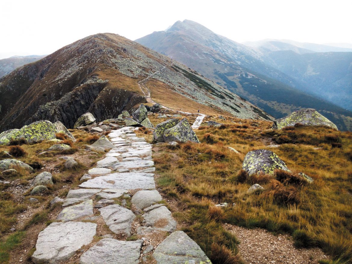 Pohľad z Chopku na Ďumbier