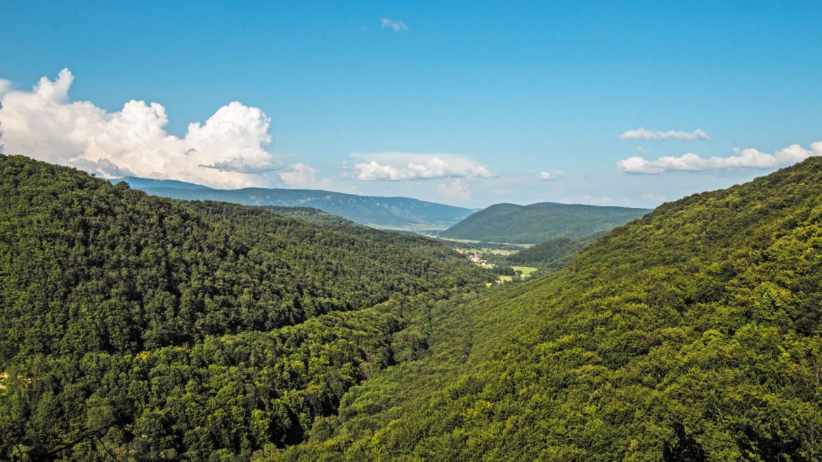 Výhľad z vrchu Sokolej skaly