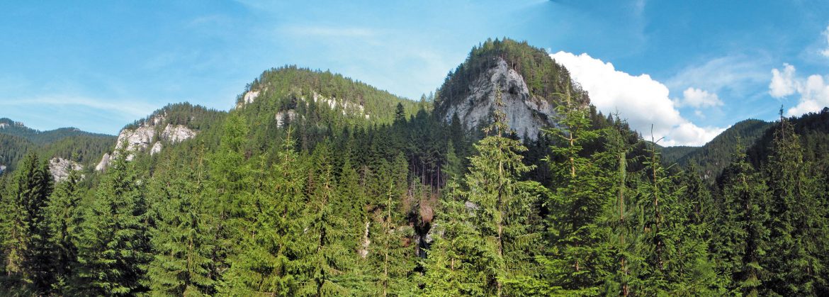 Demänovská dolina je dokonalým príkladom krajiny „žijúceho kameňa“