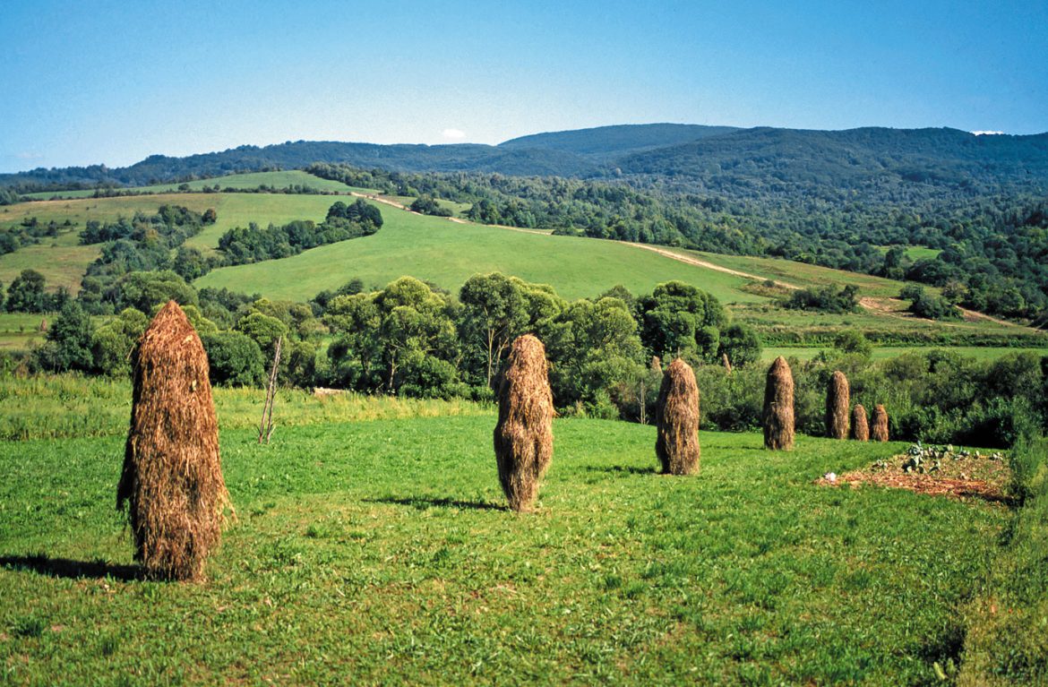 Kraj okolo Novej Sedlice