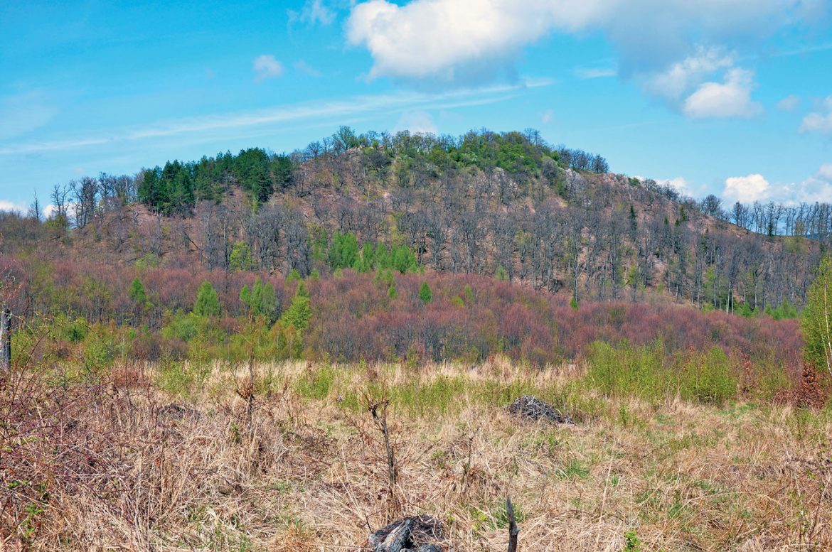 Michalov vrch z východu