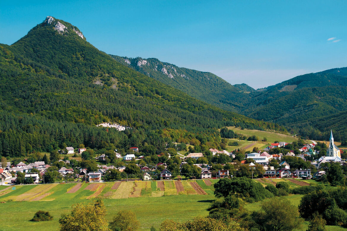 Muráň