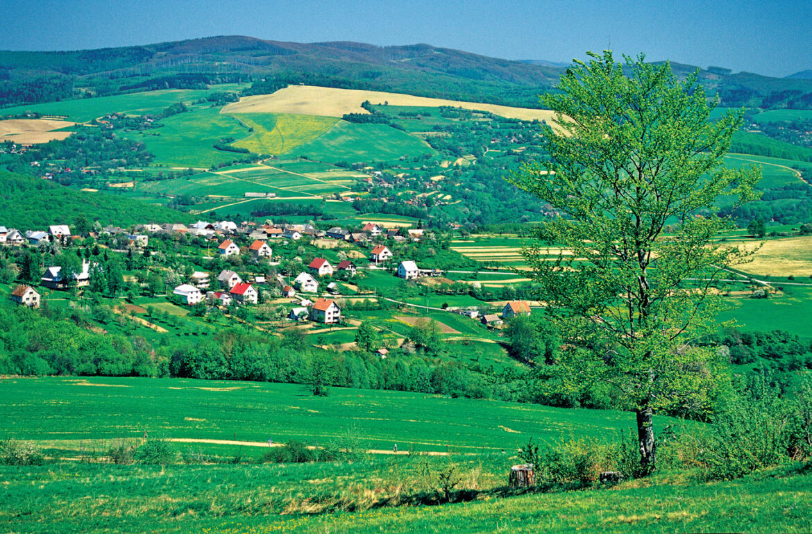 Vlčí Vrch