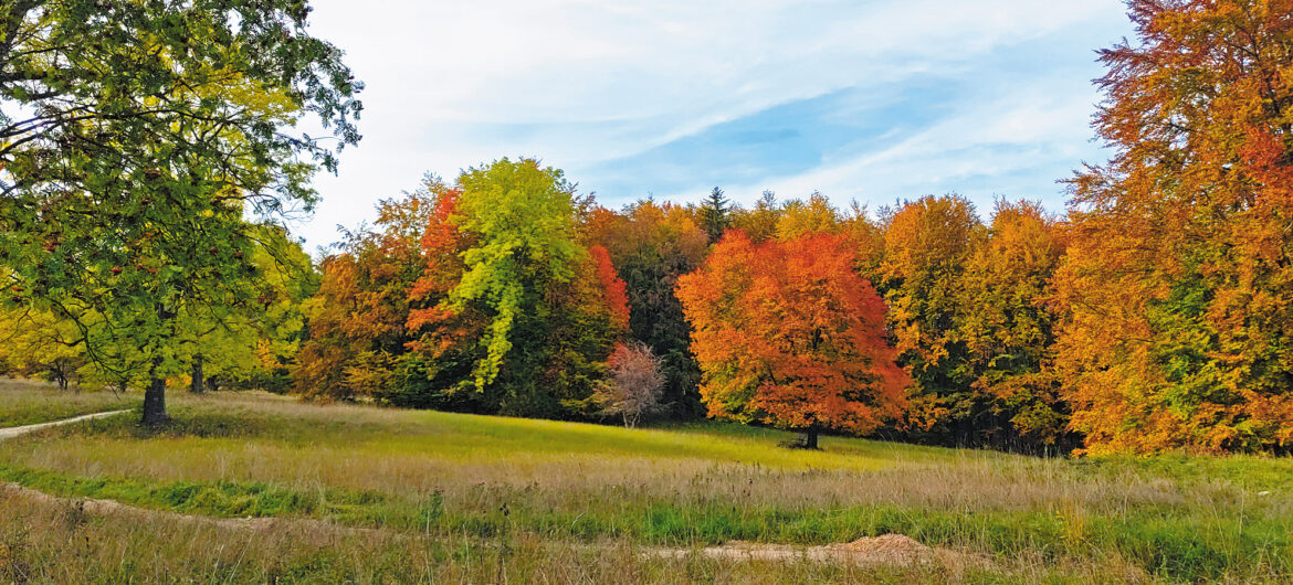 Nádhera jesene v pohorí Bükk