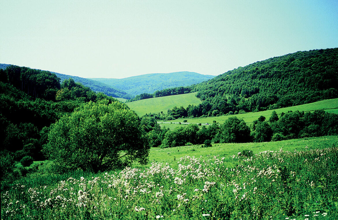 Laborecká vrchovina v okolí Mezdilaboriec