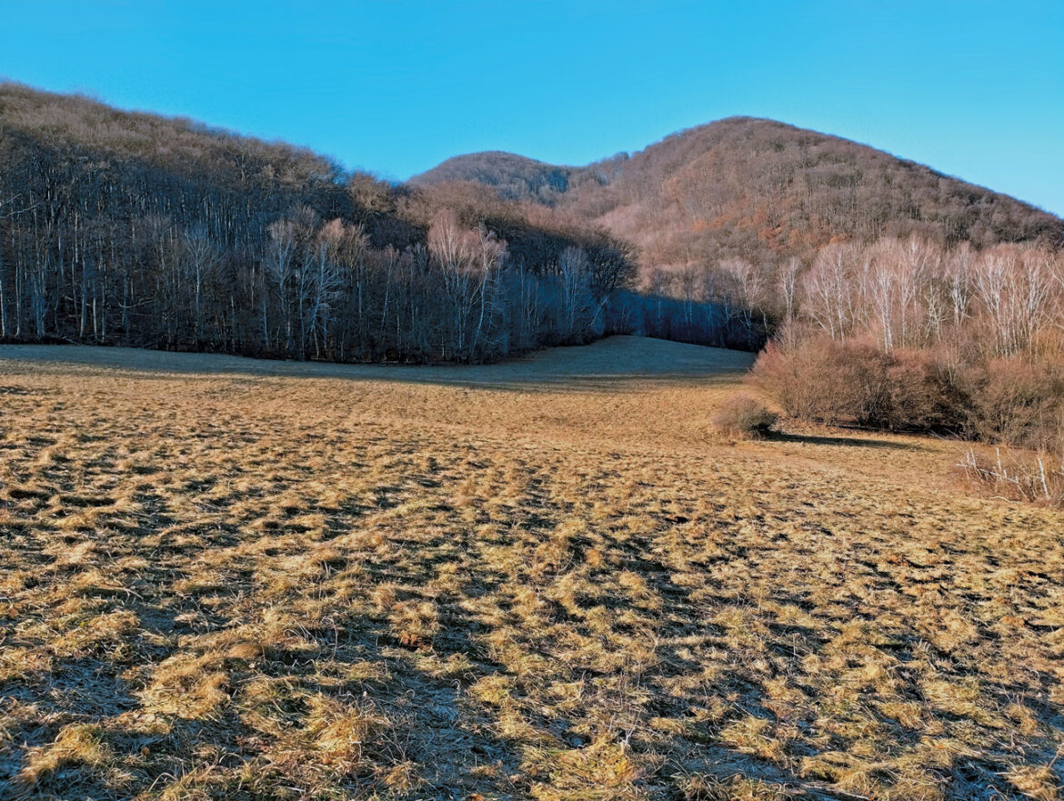 Špičiak od Medzevských lúk