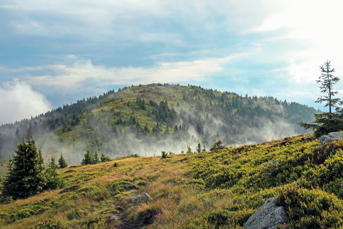 Po daždi na Minčole