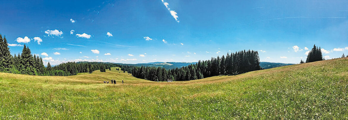 Panoráma-okolia-Obrubovanca